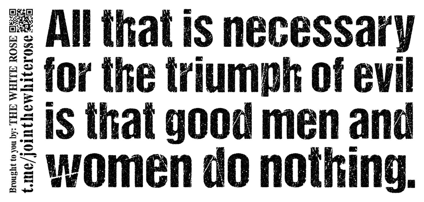 All that is necessary for the triumph of evil is for Good men and women to do nothing