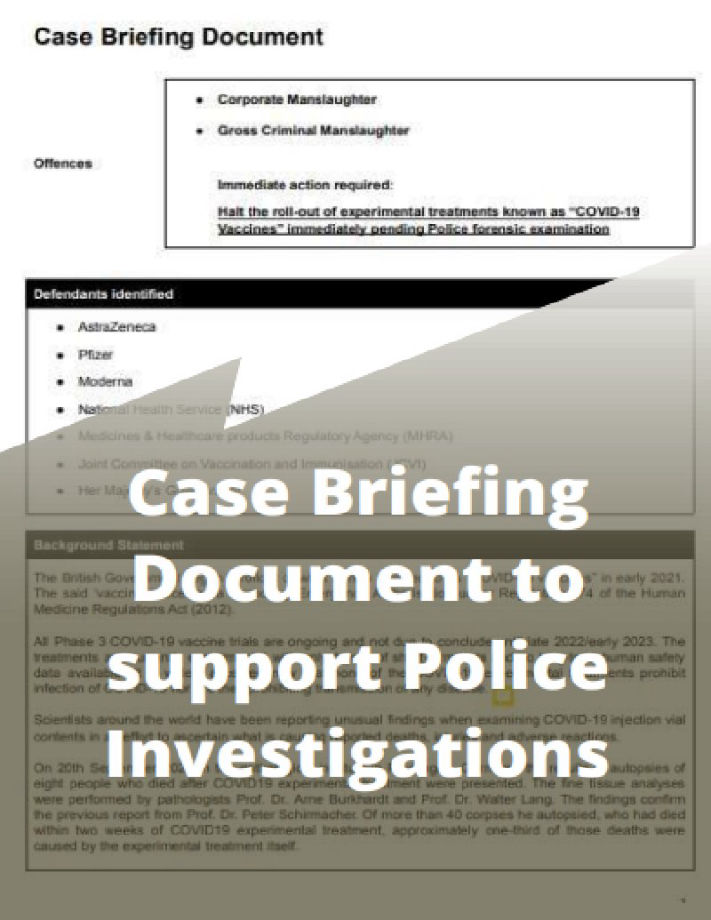 Case Briefing Document